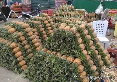 西双版纳水果市场榴莲 (上海亚洲最大的水果批发市场榴莲)