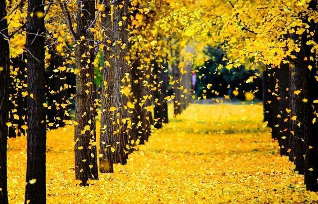 早上下中雨什么时候会停,大雨过后的打卡