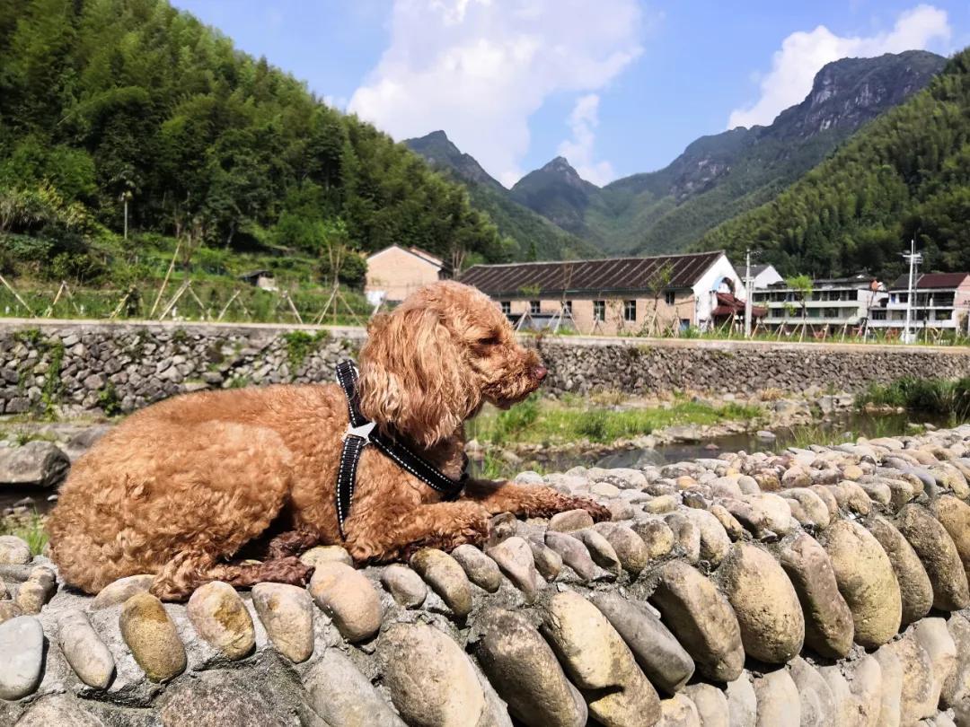 我要去旅行英文,我要去旅行完整版