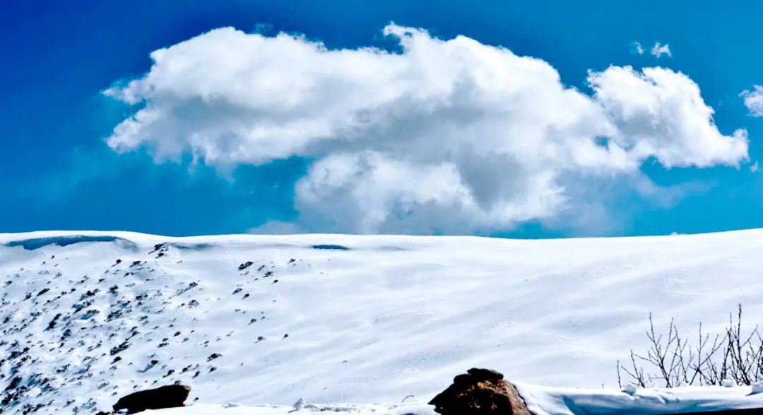 冬日的西藏才是人世间最美的天堂,西藏朝圣路上的美景
