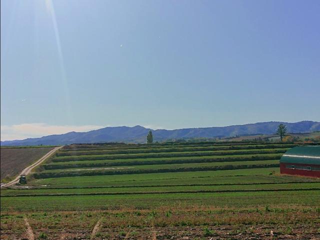 日本从南到北旅游路线,从南游到北