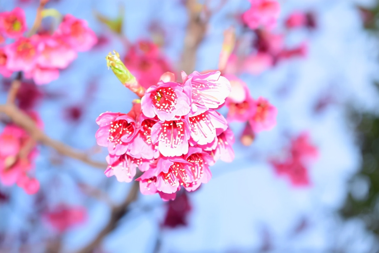 别着急属于你的东西早晚会来,属于你的缘分终究会到来