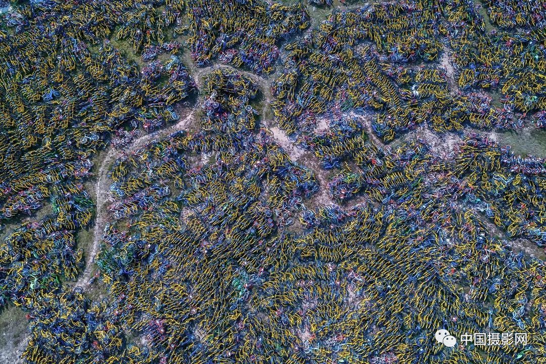 第七届全国摄影十杰获奖者,中国摄影年度人物排名