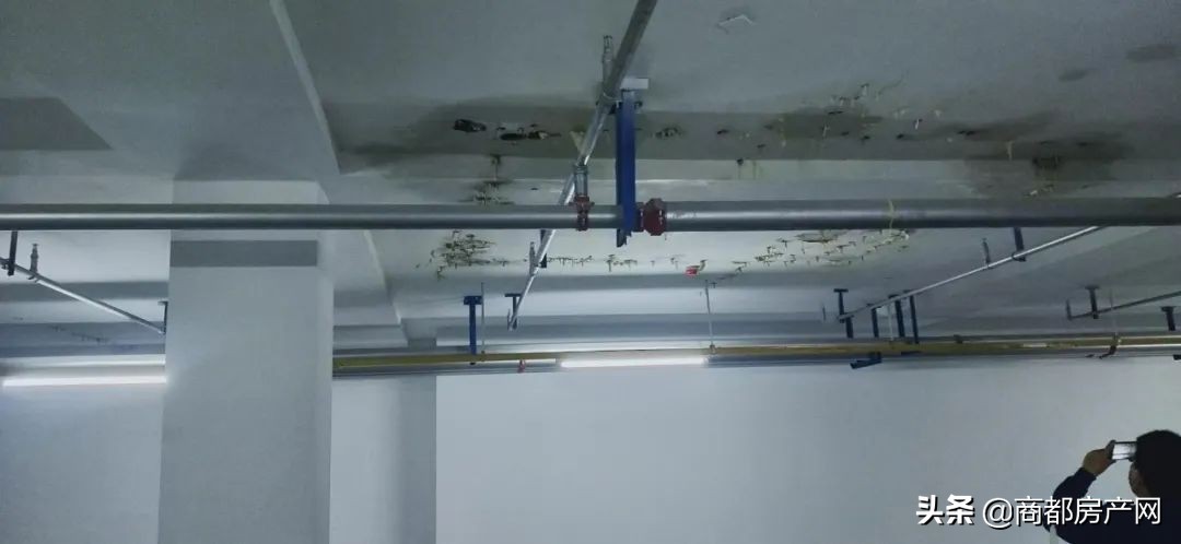 一场由猪队友曝光的建业恶性循环