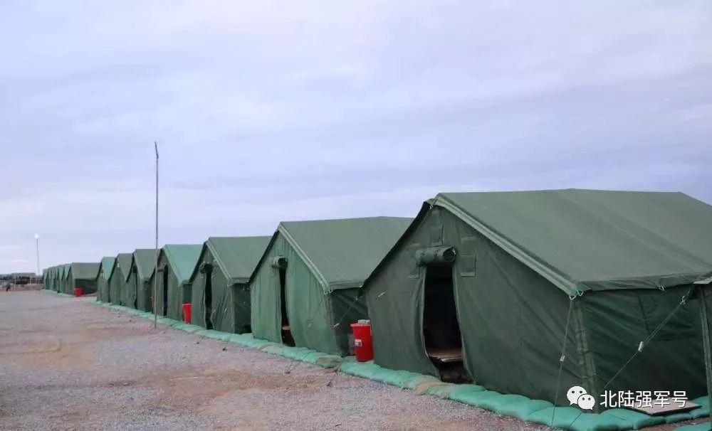 我是*用军**帐篷佩奇！一起来认识我的家族成员吧！