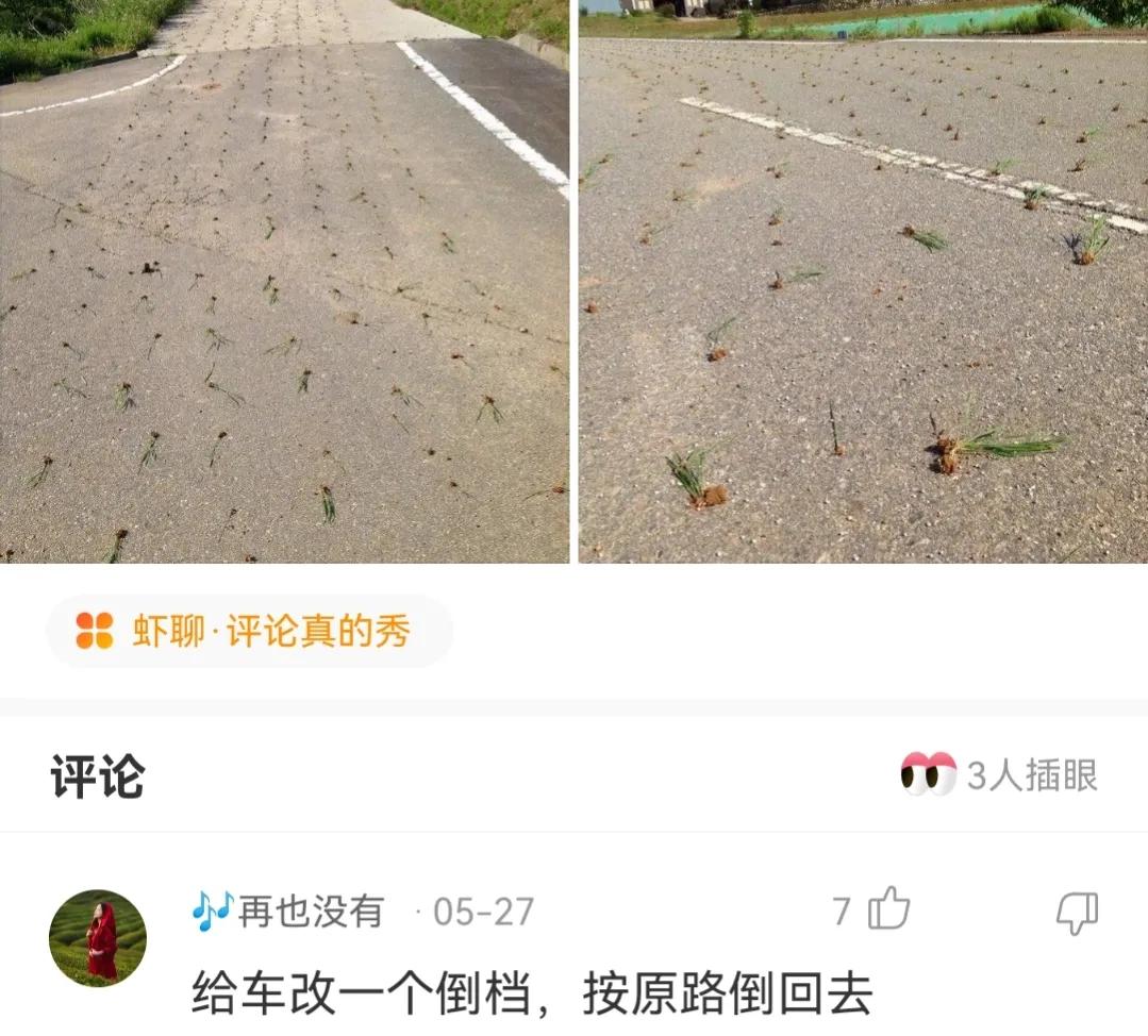 神回复，第一次跟人去打架，我该怎么做才显得自己不是新手？