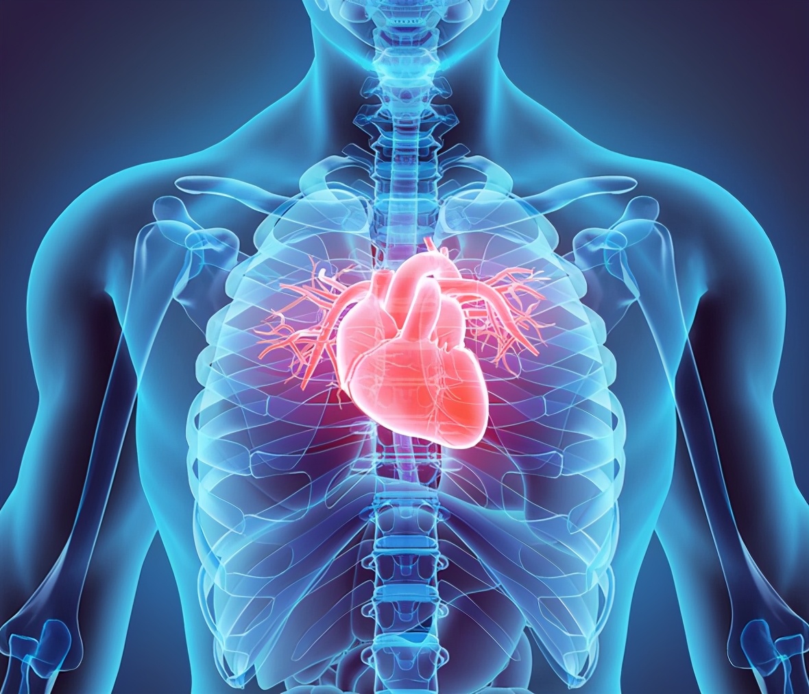 心脏要好中老年人应吃哪些食物,心脏好要吃什么