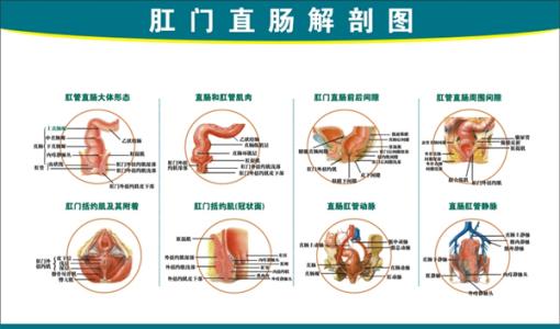 直肠前突便秘的症状是什么,直肠前突便秘如何通便