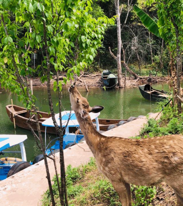 云南必去的10个宝藏打卡地,云南宝藏打卡圣地