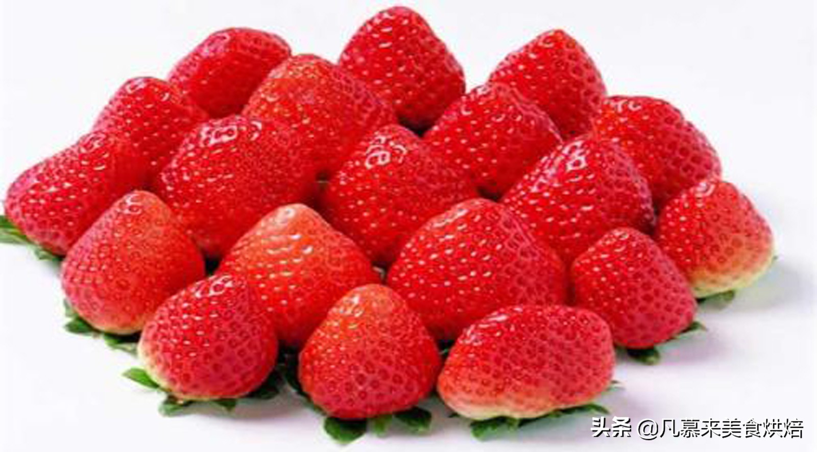 草莓哪个品种最好吃又好种,2018产量最好最大的草莓品种