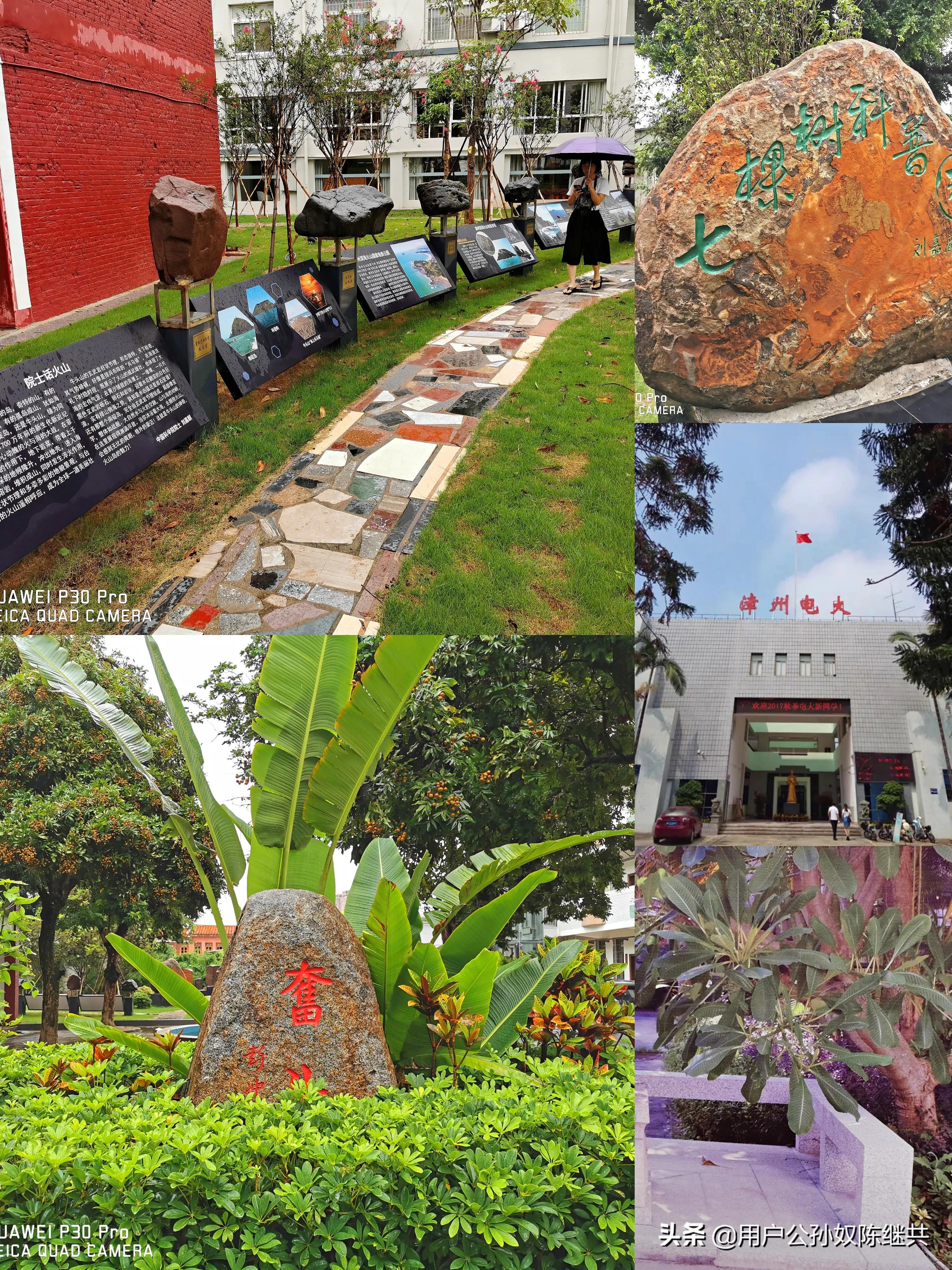 重返母校，37年情未了！校园浓缩漳州红色基因精要，革命剑出鞘…