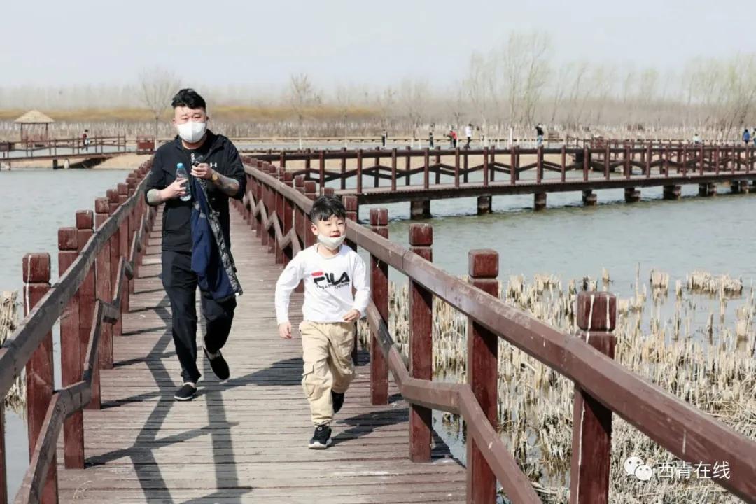 天津即将完工的公园,天津新开放的公园