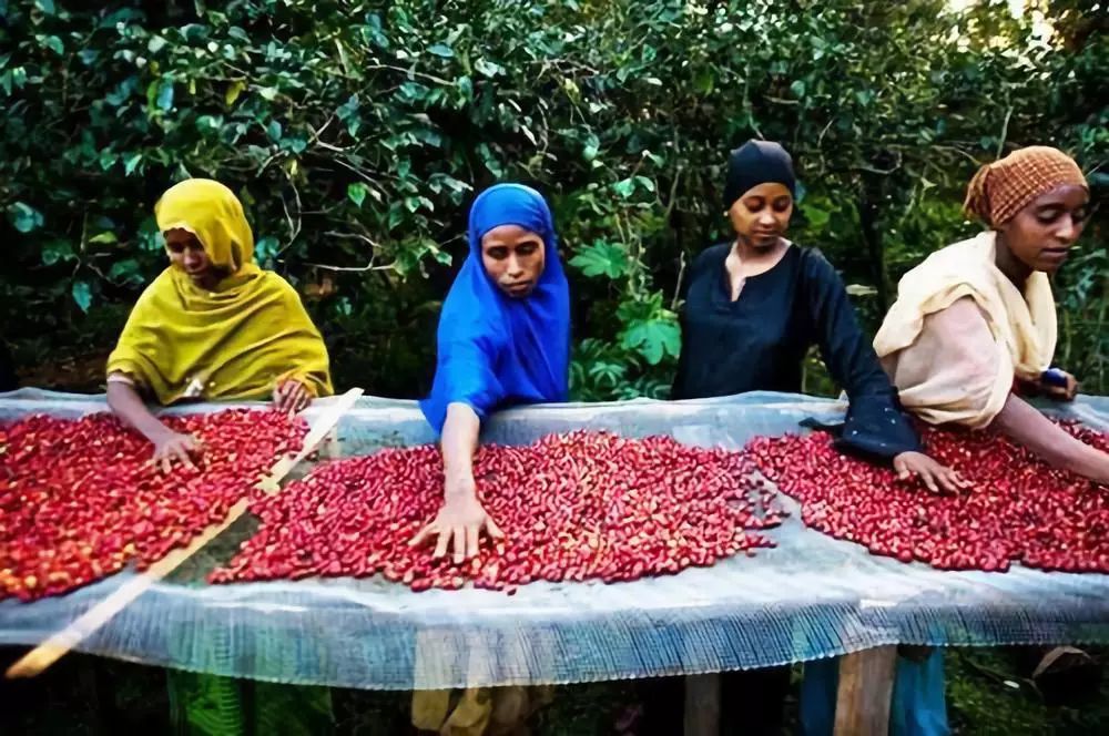 在非洲,这五种赚钱方式不要太简单