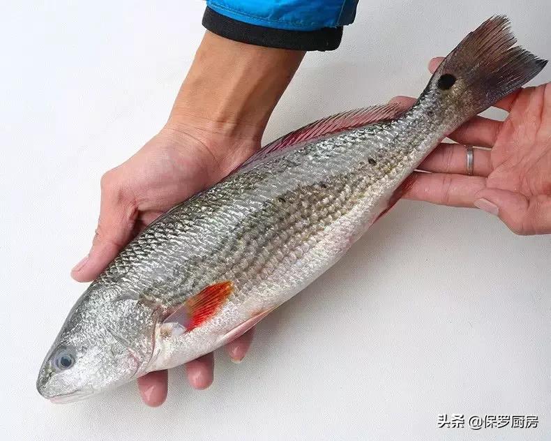 海鲜大荟萃,常见贝壳类海鲜