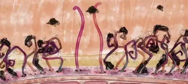 戒不戒烟对孩子有影响吗,不要因为自己而害了孩子