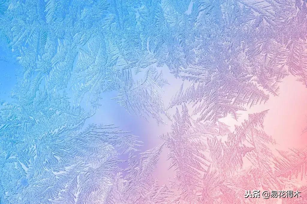 储存雪水浇花好不好,雪水浇花的好处及注意事项