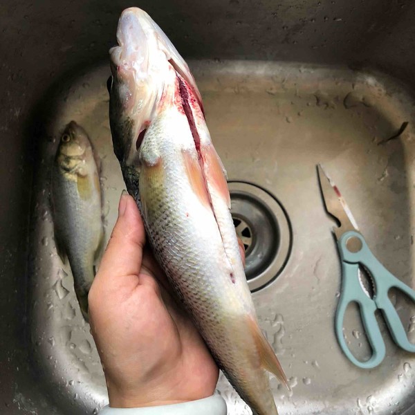 蒸鱼豉油蒸鲈鱼的做法,豉汁蒸鲈鱼的正确做法