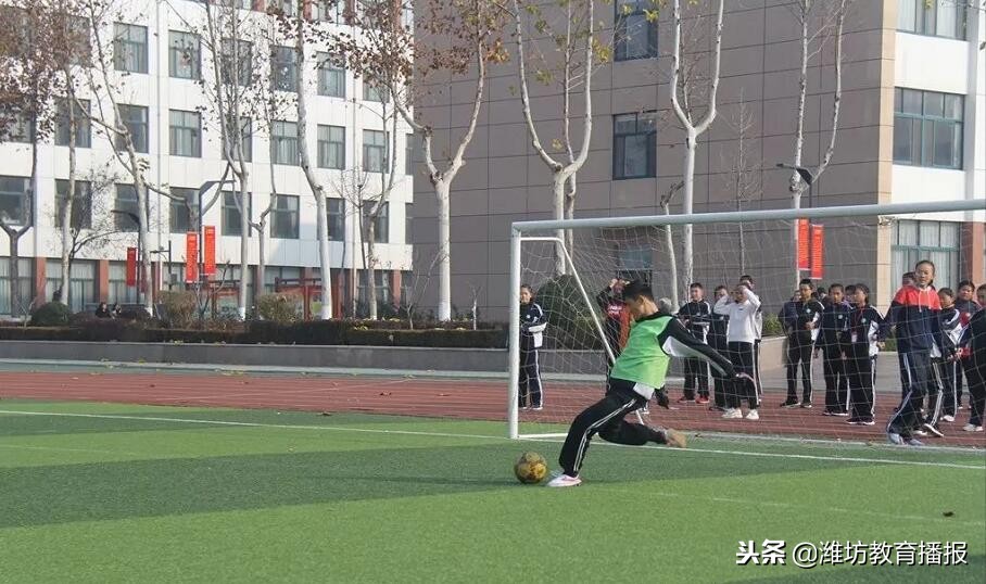 足球小将驰骋绿茵比拼球技,无限风采始于足下内容