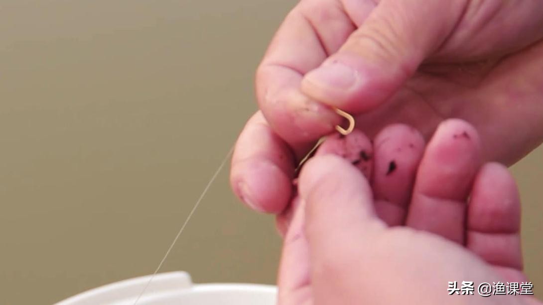 冬季红虫钓鱼最佳时间,冬季钓鱼红虫怎么用