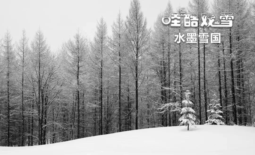 你等的开板终于要来了！