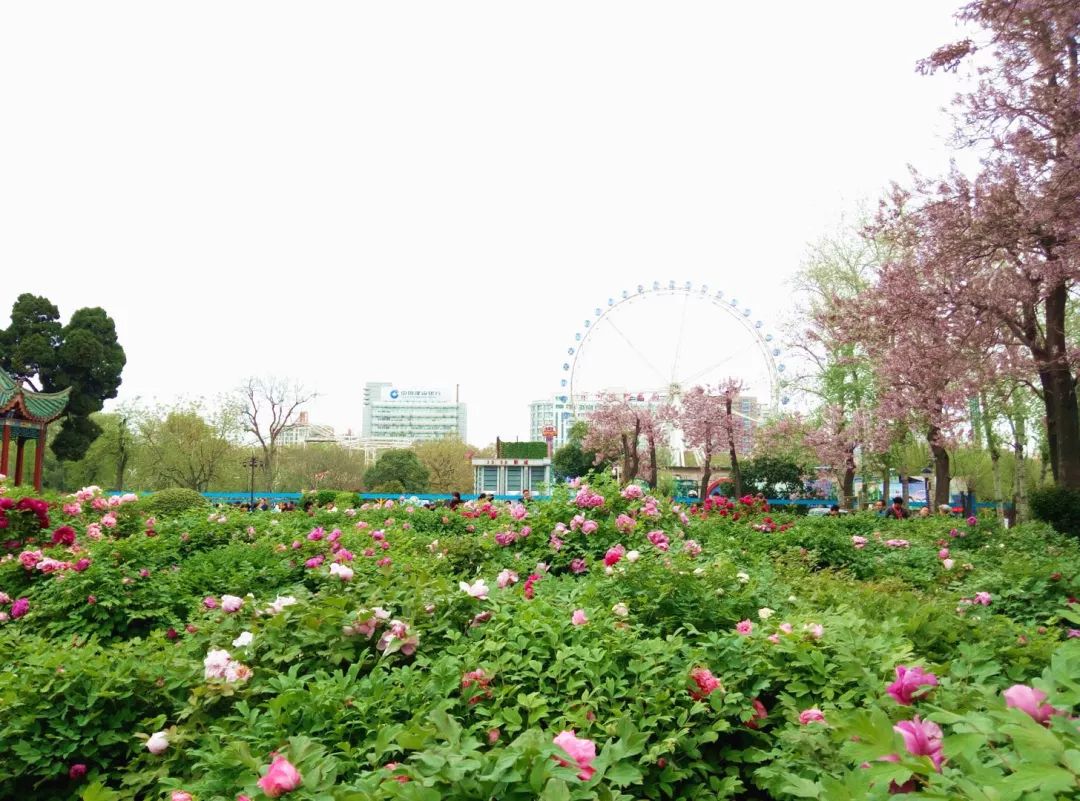 郑州有哪些免费运动场,郑州开放室外运动场地