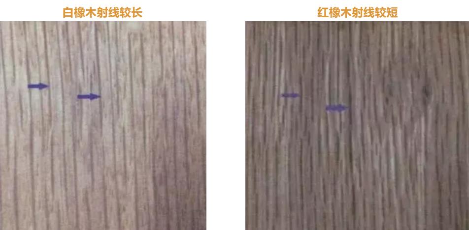 2000元买红橡实木床担心假货，如何选购红橡家具？这篇文章教你