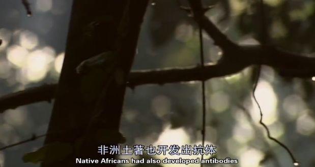 这次疫情让世界明白中国的重要性,到今天疫情怎么样了