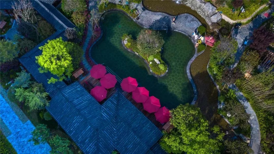 高铁来了濮阳东站,高铁来了