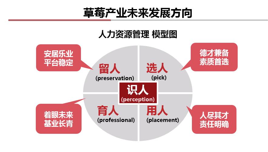 最近几年种草莓可以赚钱吗,今年种草莓你回本了吗