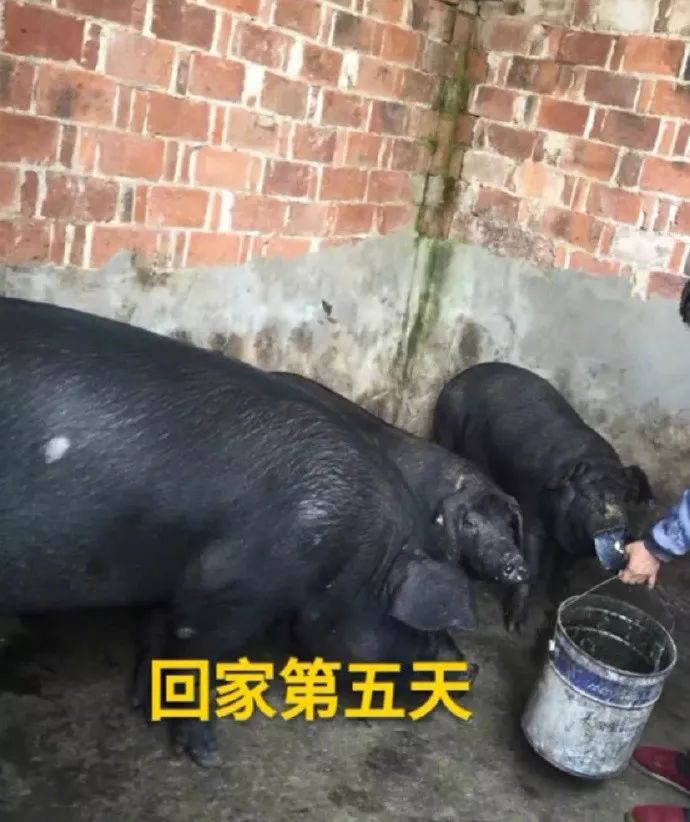 对男生说什么话*伤杀**力最大|冷段子1078去年今日1023