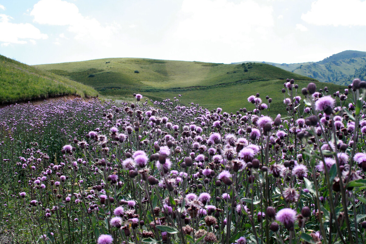 98年收回3万公顷领土，如今成我国最后一片净土，至今不许外人进