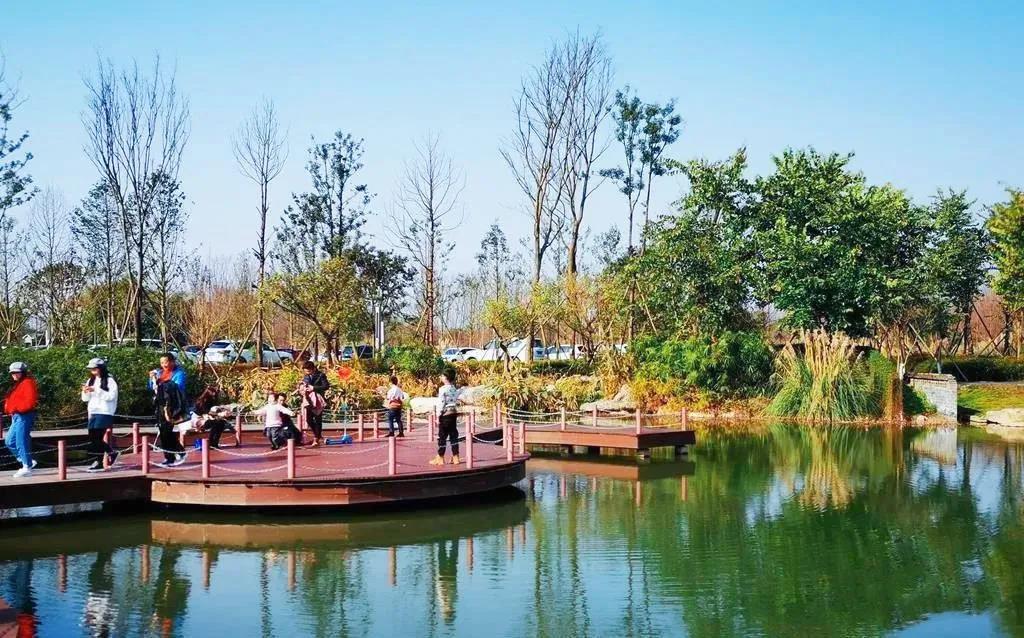 从贫困村到美丽乡村的华丽转身,崇州五星村国家示范乡村