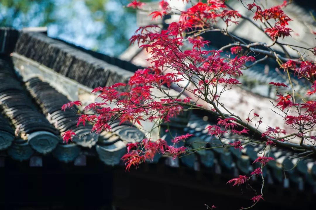 被严重低估的江苏成绩,扬州被严重低估的城市