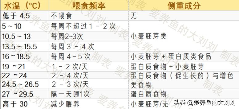 锦鲤各个季节喂食时间表,锦鲤什么季节喂鱼食最好养