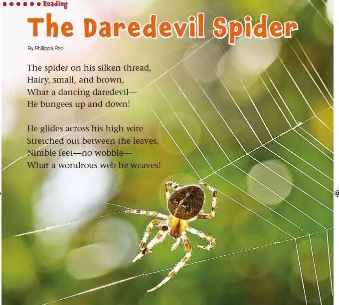 班主任推荐订的杂志，有些真是“一言难尽”|儿童杂志亲测