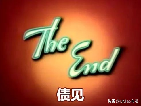 养猫就是抓老鼠吗,还有多少人养猫是为了抓老鼠的