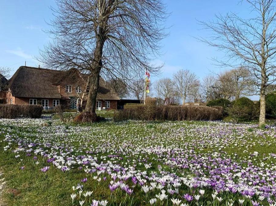 德国旅行攻略探索旅游的新奇之处,德国旅行全攻略