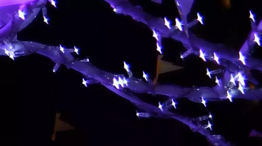 适马85mmf1.4art与蔡司55mmf1.8,适马501.4art与适马501.4