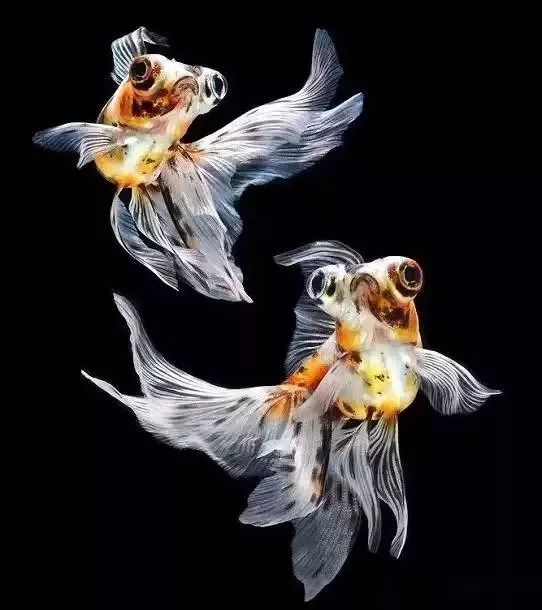 薛姓头像2020最火微信头像,2020年最招财微信头像图片大全