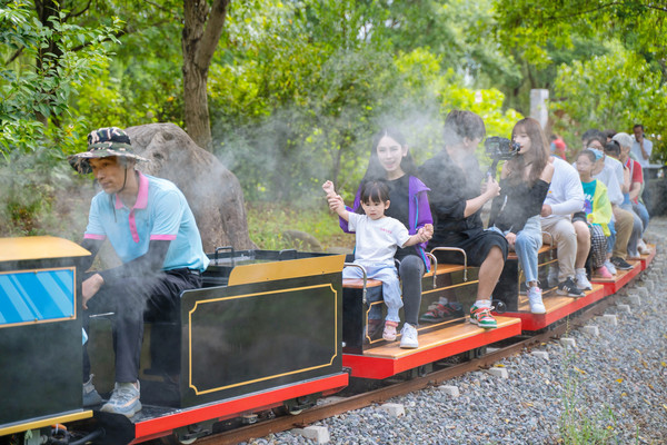同里古镇亲子游,同里湖度假村亲子游
