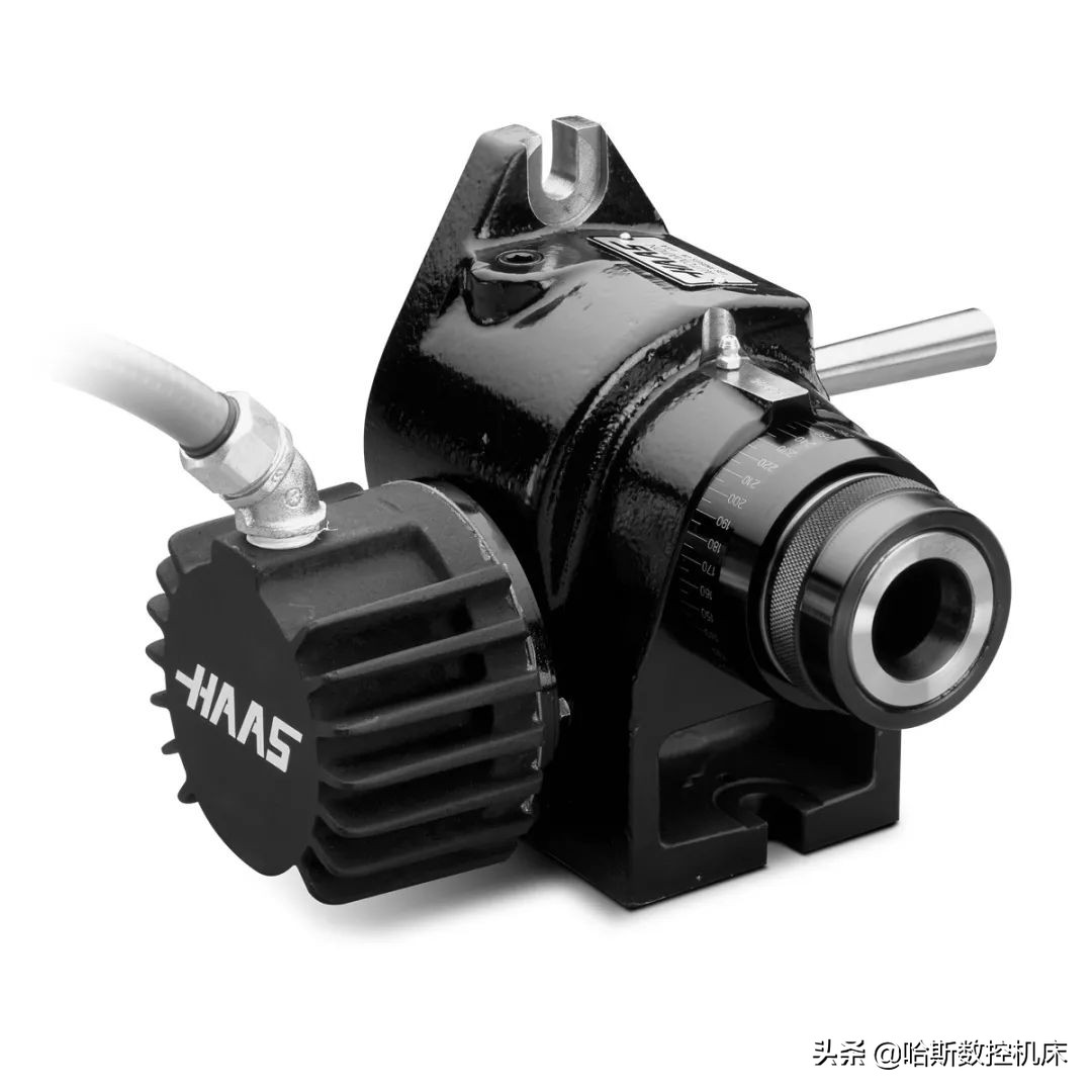 2019鍝堟柉,鍝堟柉缇庡浗