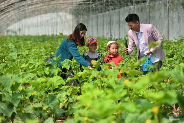 良安祥和庄园,古城祥和庄园