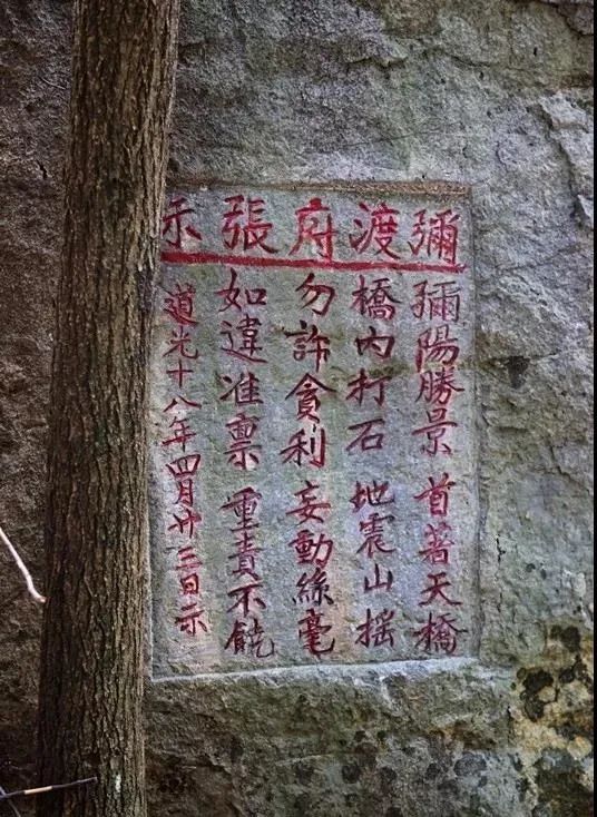 云品出滇入鲁,云品出滇简介