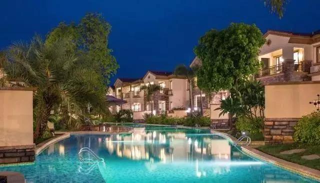 待到春暖花开时与你共赏樱花烂漫,待到春暖花开日便是把酒言欢时