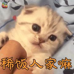 宠物吃生骨肉没有寄生虫么,宠物寄生虫对身体有害吗