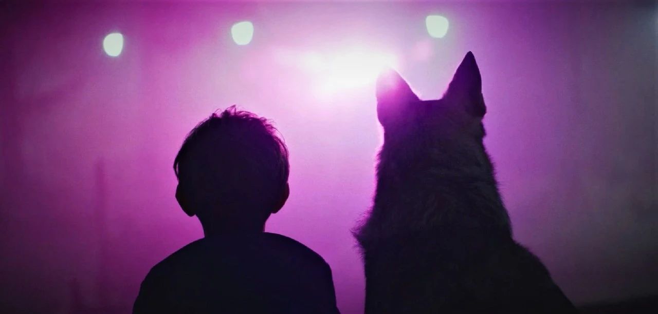 沉沦了10年,这3部B级恐怖片,或将是这位昔日影帝的出路