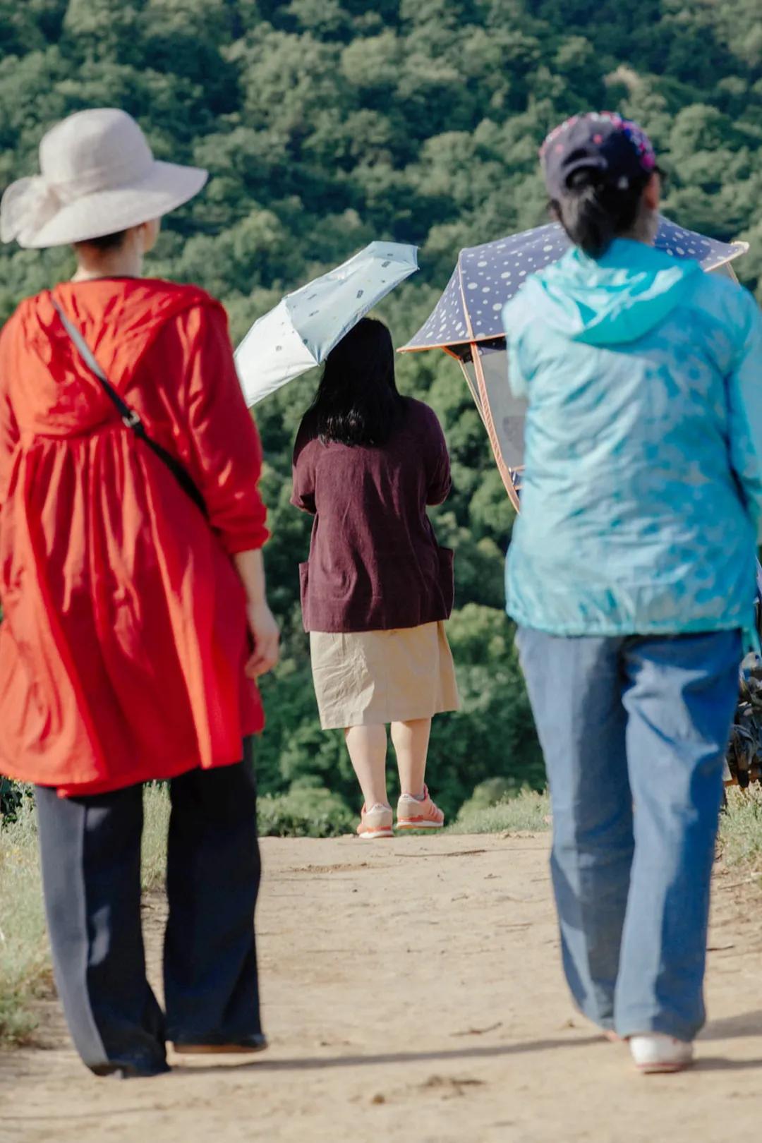 杭州百景｜龙坞，茶，太阳，酒，音乐