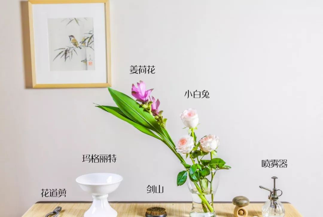 小原流花道国际标准教程,小流源花道入门教程视频