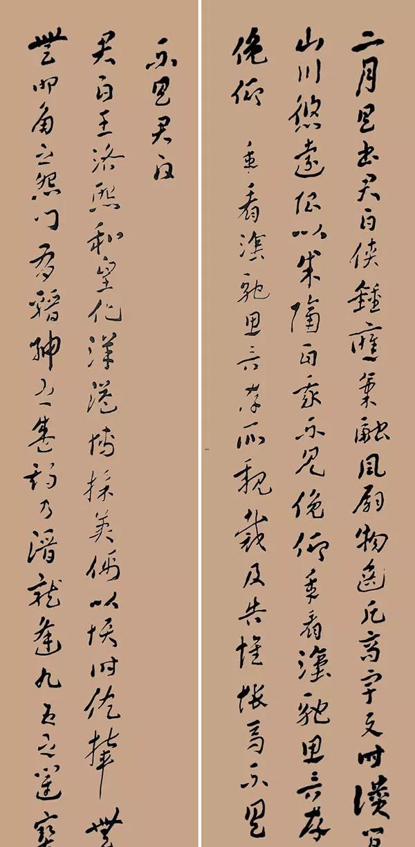 金铉章草书法欣赏,金熙长书法精品欣赏