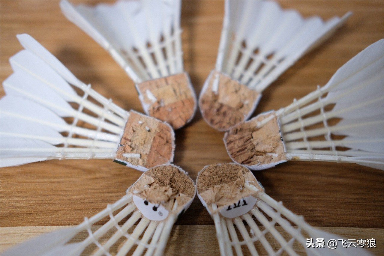 「中羽在线飞云零狼」威羽斯钻一钻二钻五评测——高性价比鹅毛球